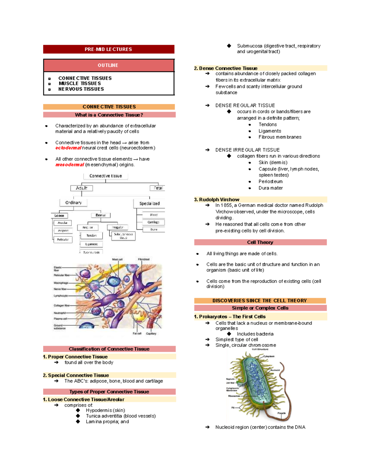 Histology LEC Midterm Study Guide: Connective &amp; Cell Tissues Overview ...