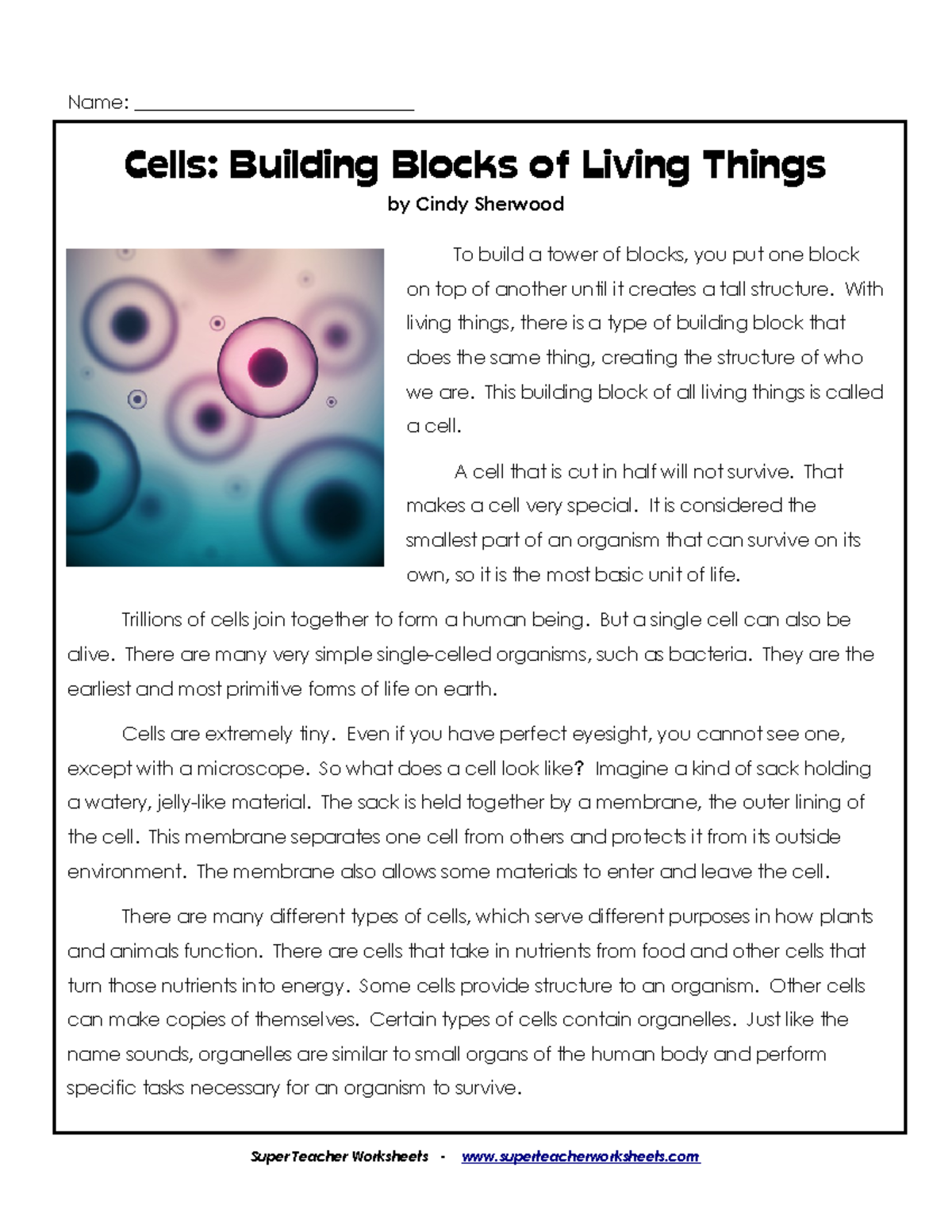 Cells - The Basic Unit of Life - Reading Comprehension Study Guide ...