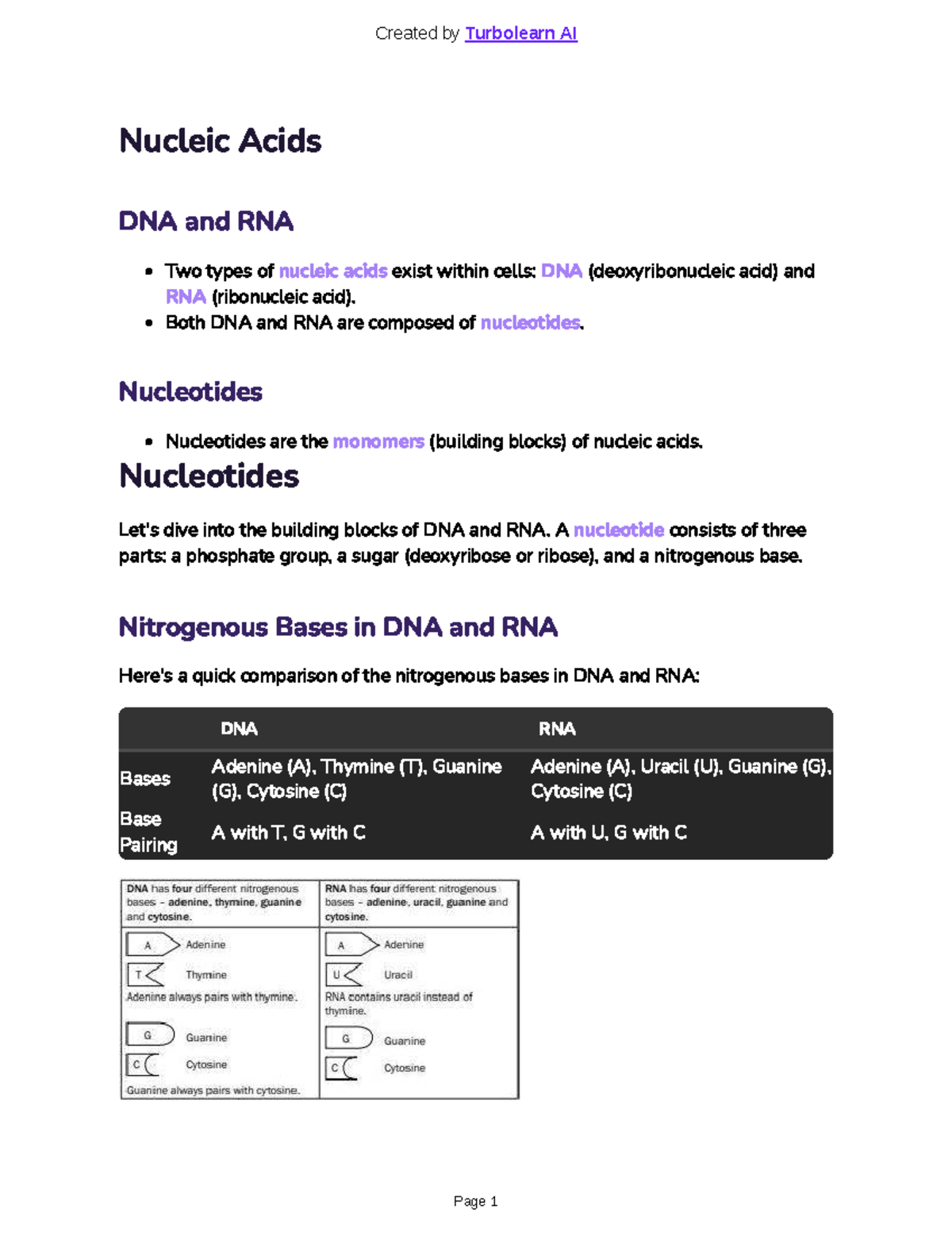 Life Science Study Guide: DNA, RNA, and Reproductive Biology - Studocu