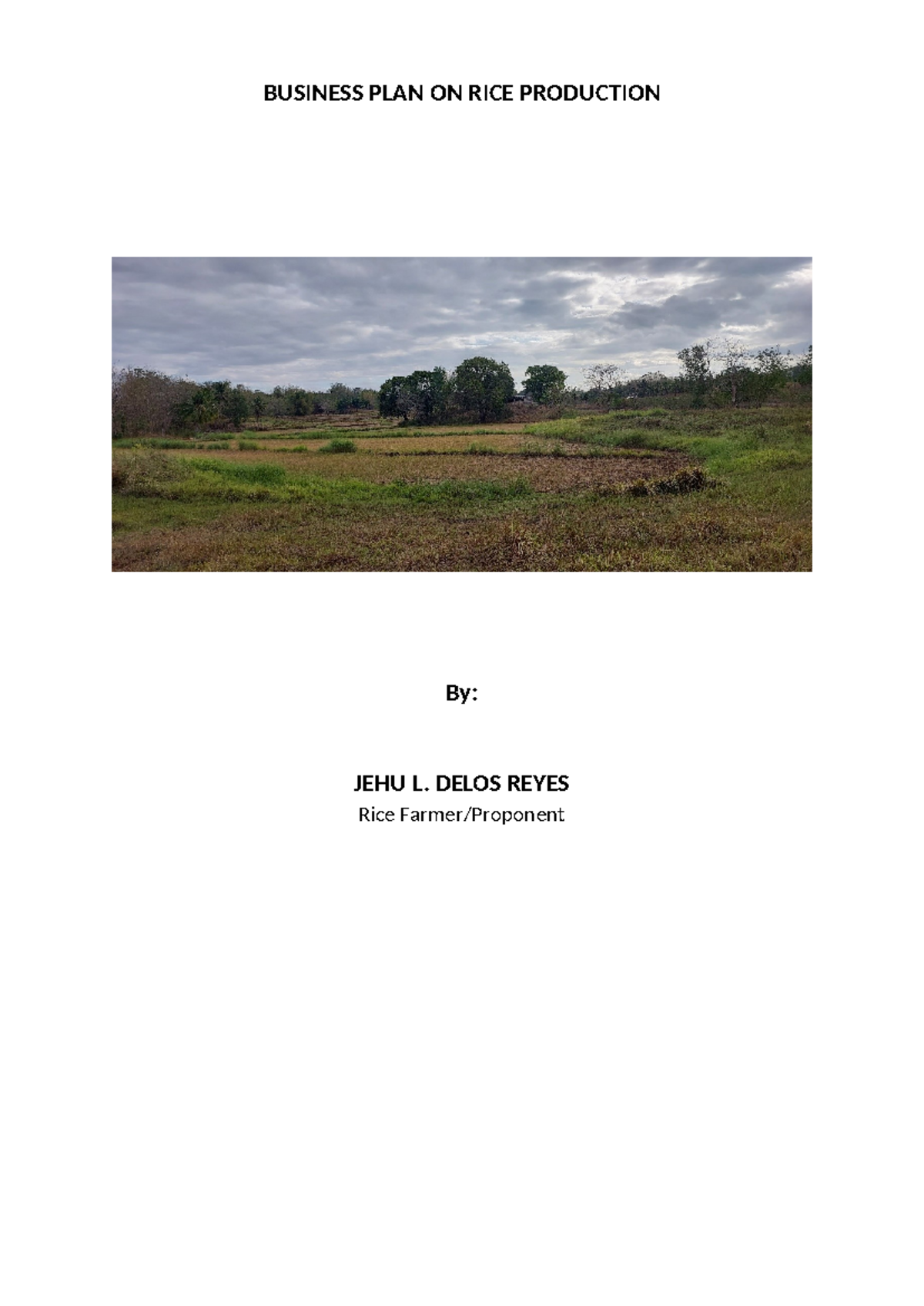 Business PLAN ON RICE Production - BUSINESS PLAN ON RICE PRODUCTION By ...