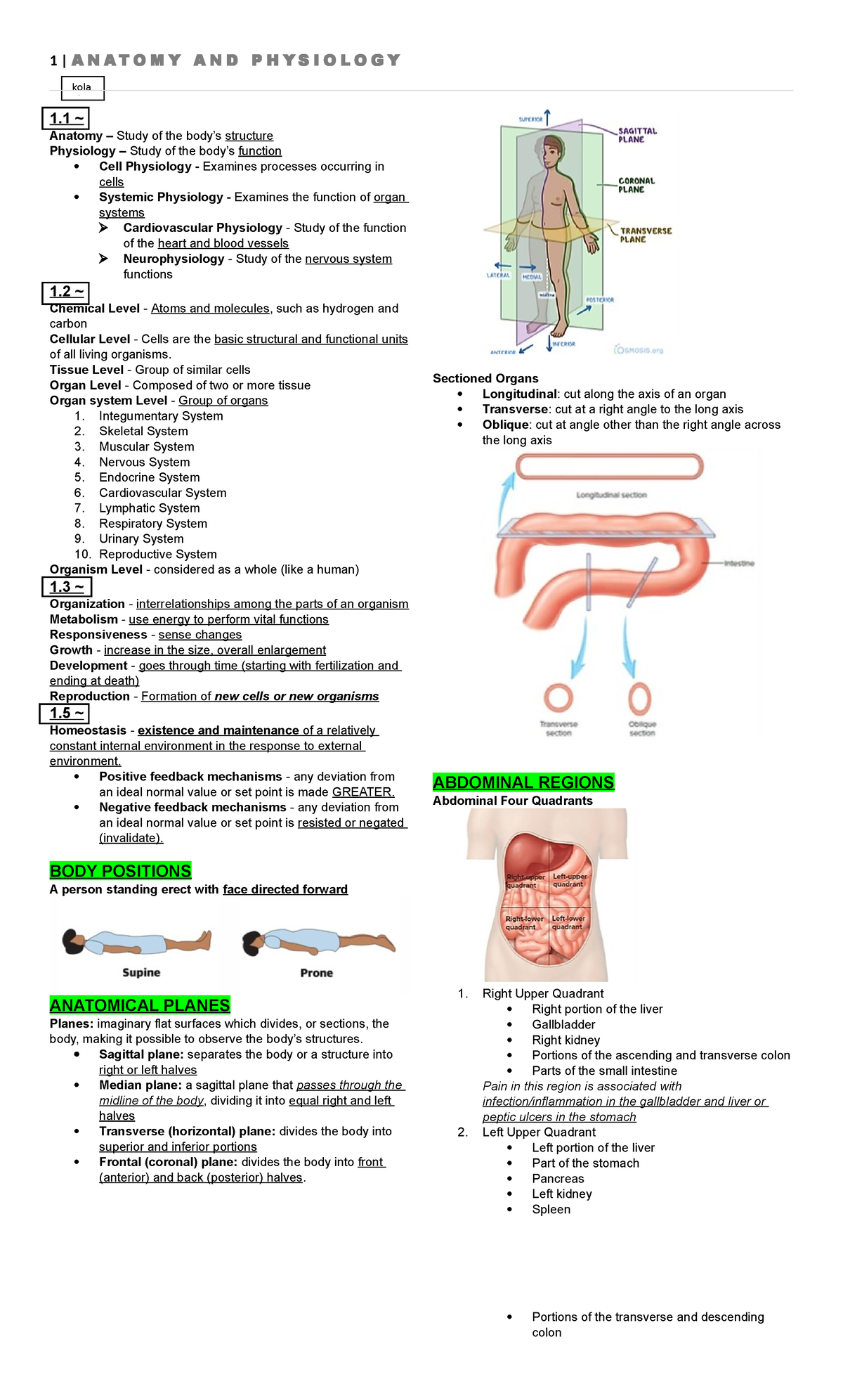 Anatomy and Physiology Prelims Study Guide (ANAPY 101) - Studocu