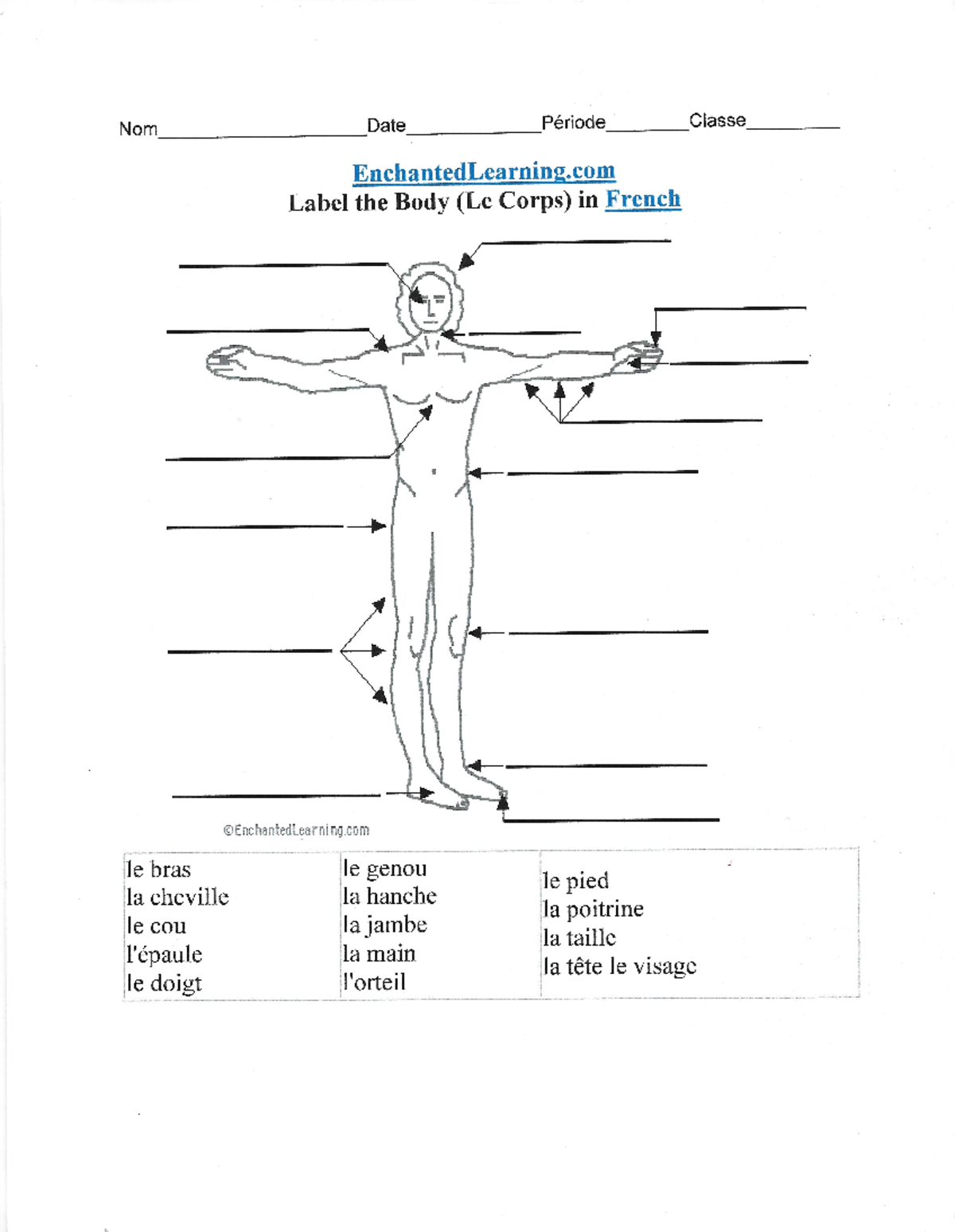 Label the body - le corps Packet - Nom Date Période Classe ...