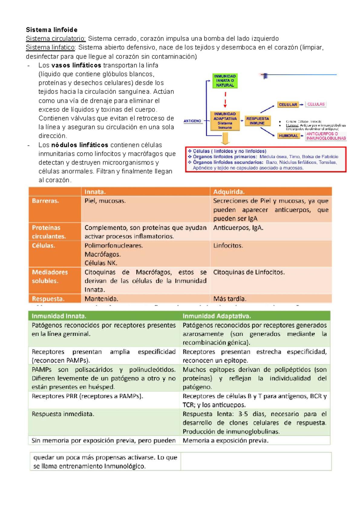Prueba 1 Inmunología: Sistema Linfático y Circulatorio - Document Preview