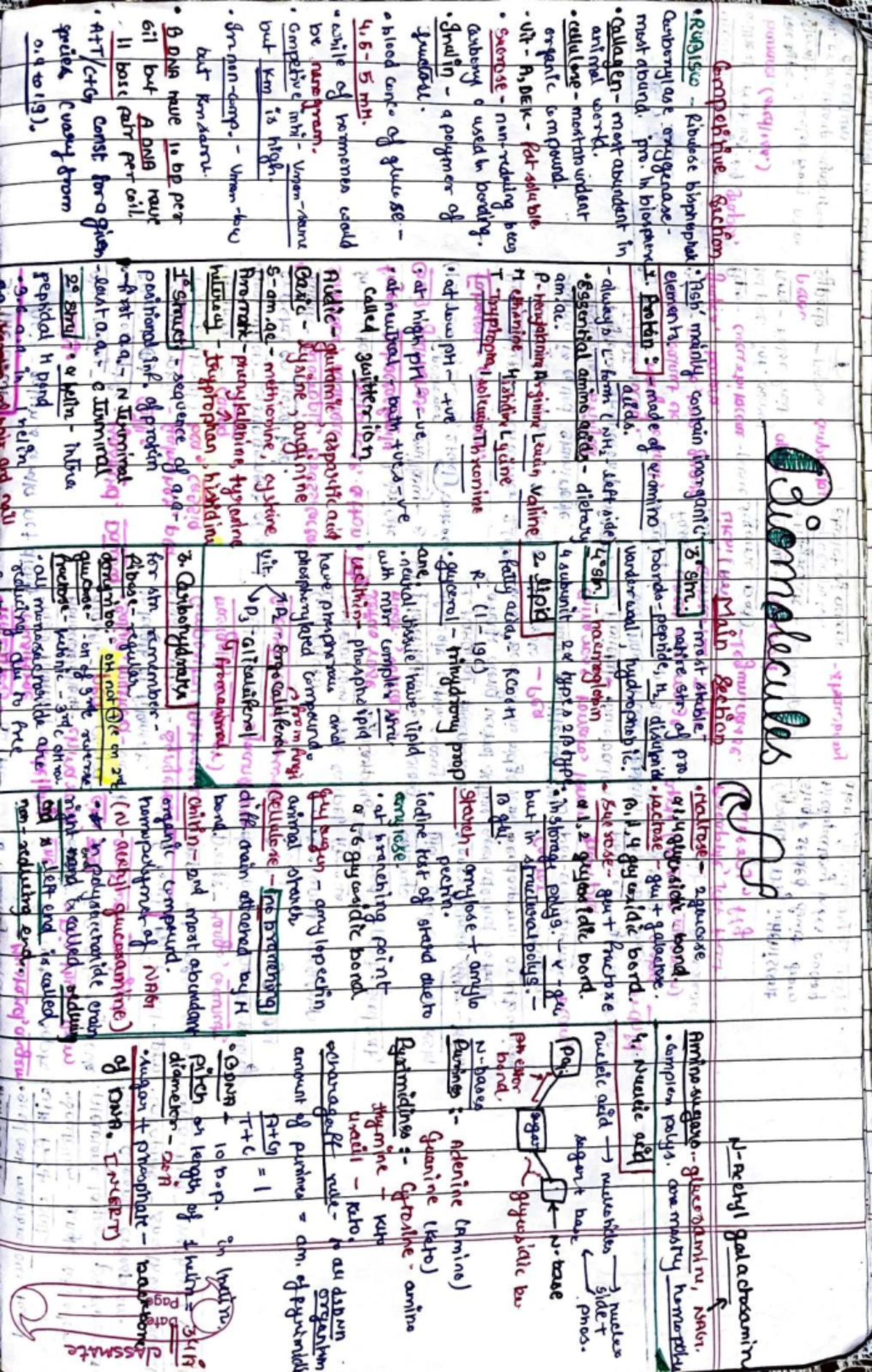 Biomolecules: Short Notes for BIO Course - Studocu