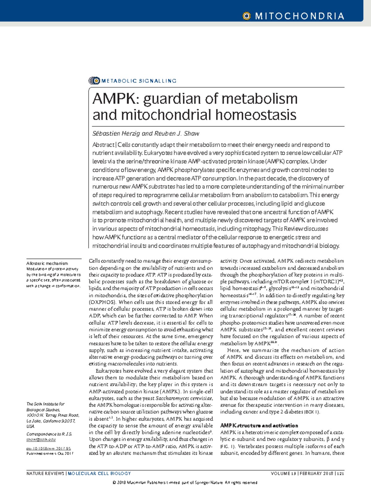 AMPK: Key Regulator of Metabolism & Mitochondrial Health (2017) - Studocu