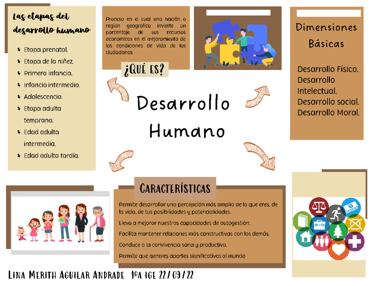 8 Etapas Del Desarrollo Humano Mindmeister Mapa Mental
