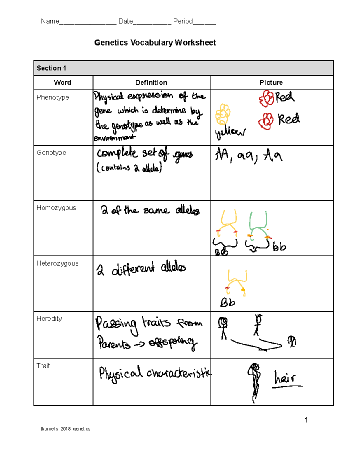 Vocabulary Frame Genetics - Google Docs (002) - Genetics Vocabulary ...