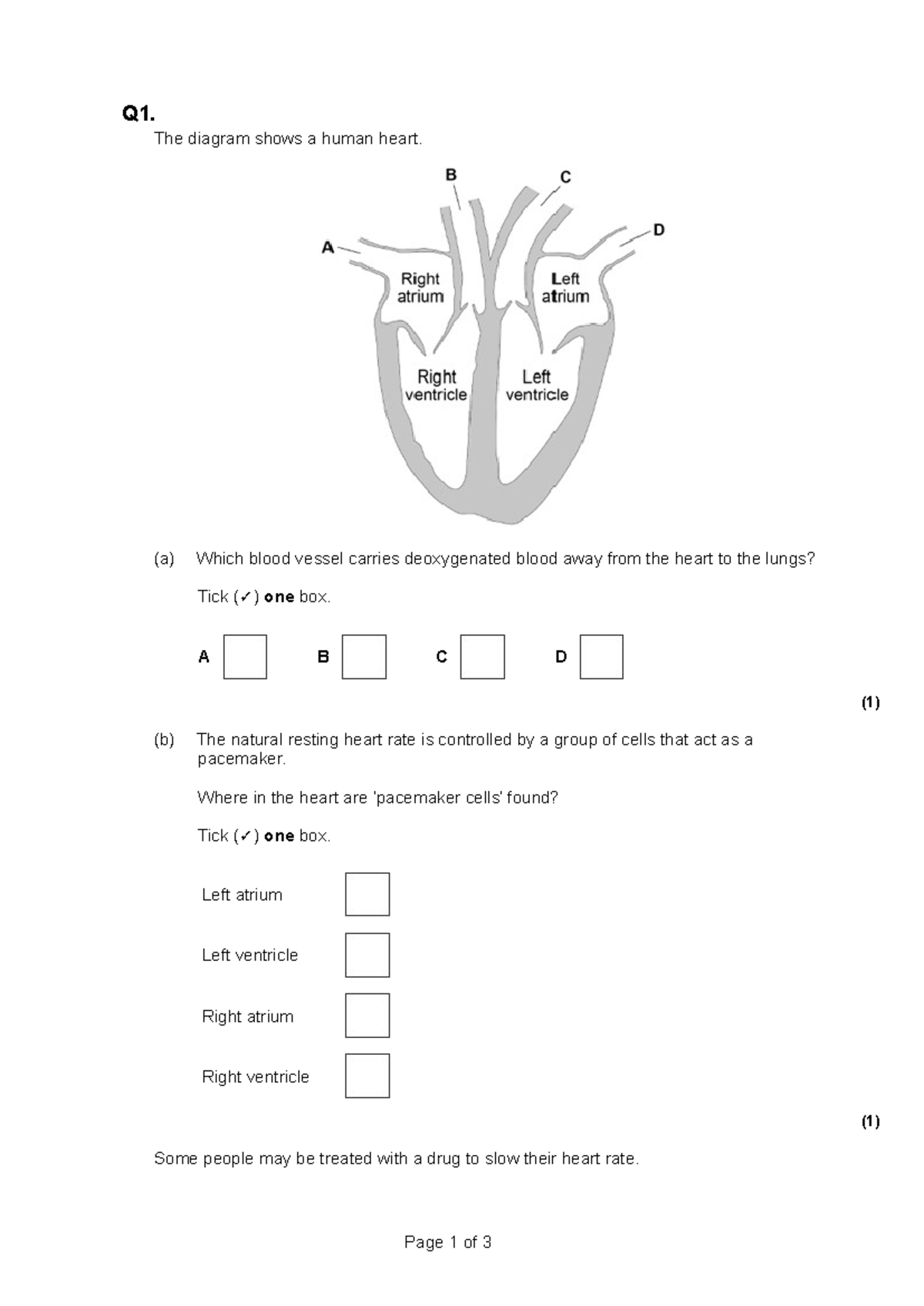 Heart Exam Questions - Cardiovascular System Review for BIOS 101 - Studocu