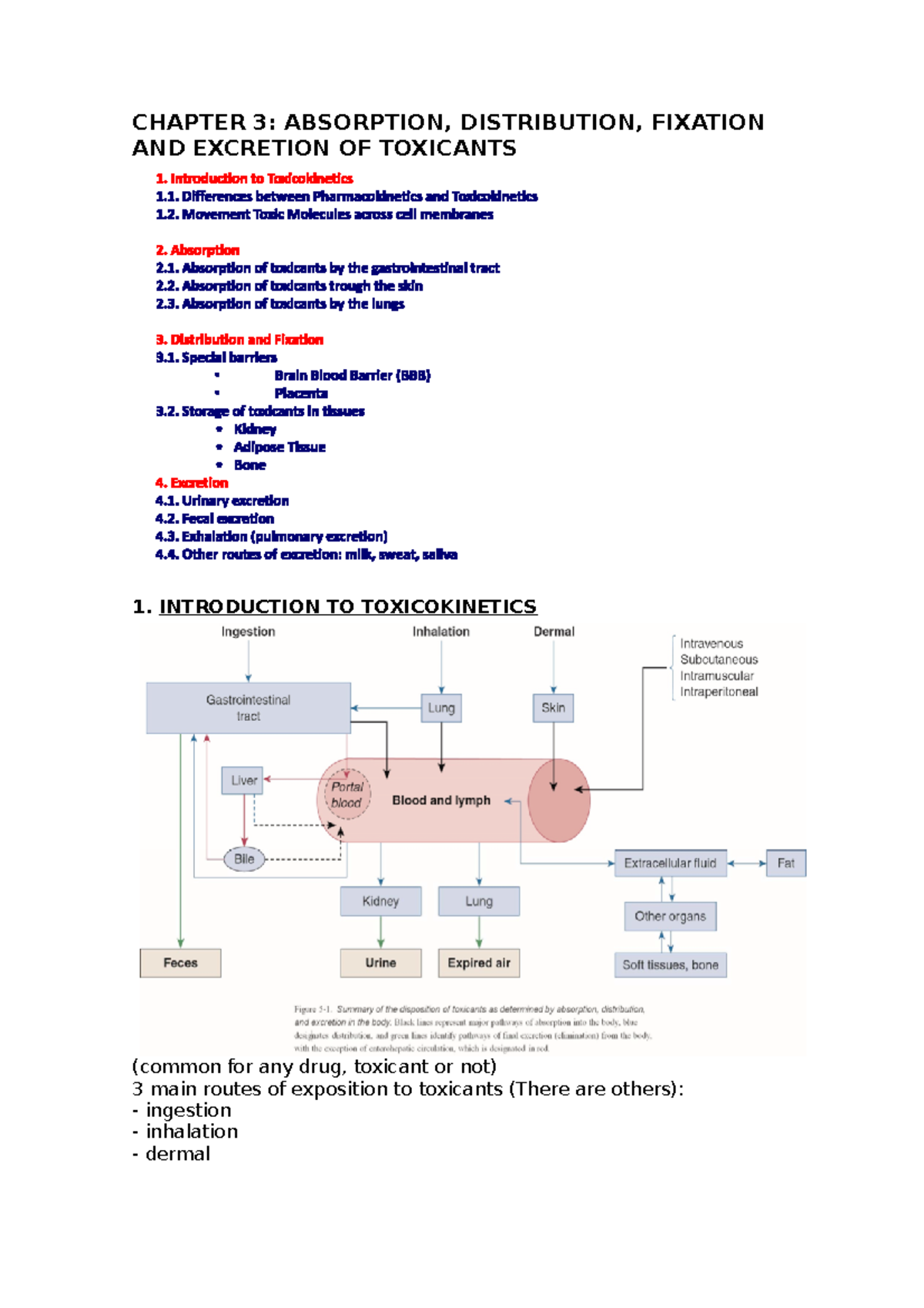 Chapter 3 - ENGLISH VERSION - CHAPTER 3: ABSORPTION, DISTRIBUTION ...