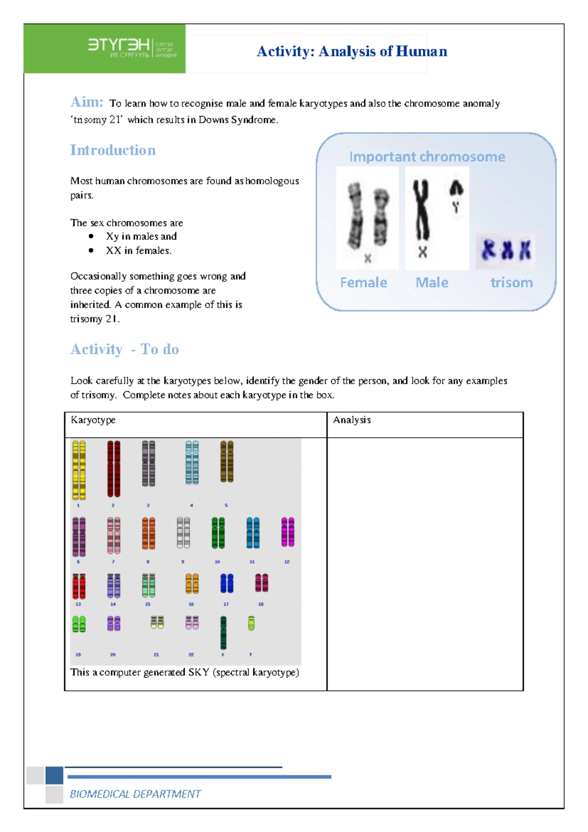 Pedigree Charts Worksheet for Genetics Analysis and Interpretation ...