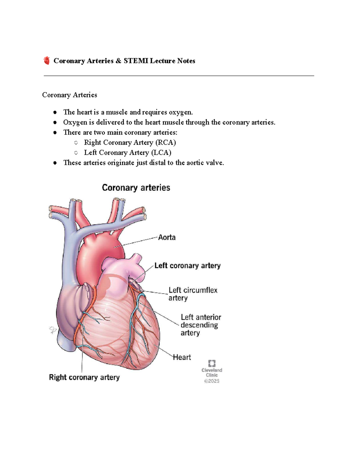 Coronary Arteries & STEMI Lecture Notes - Studocu