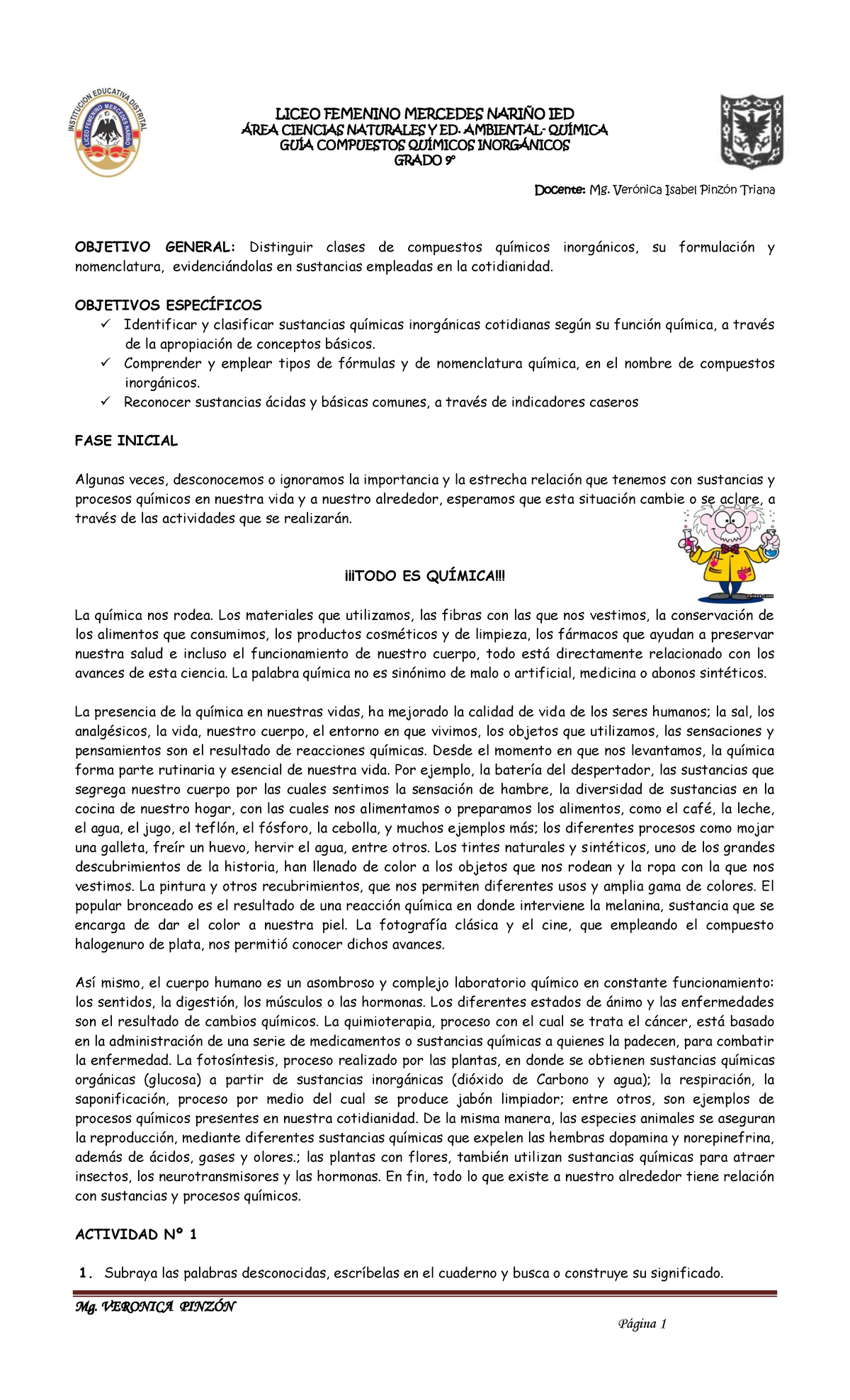 Guía de Compuestos Químicos Inorgánicos - Grado 10 - Mg. Verónica ...