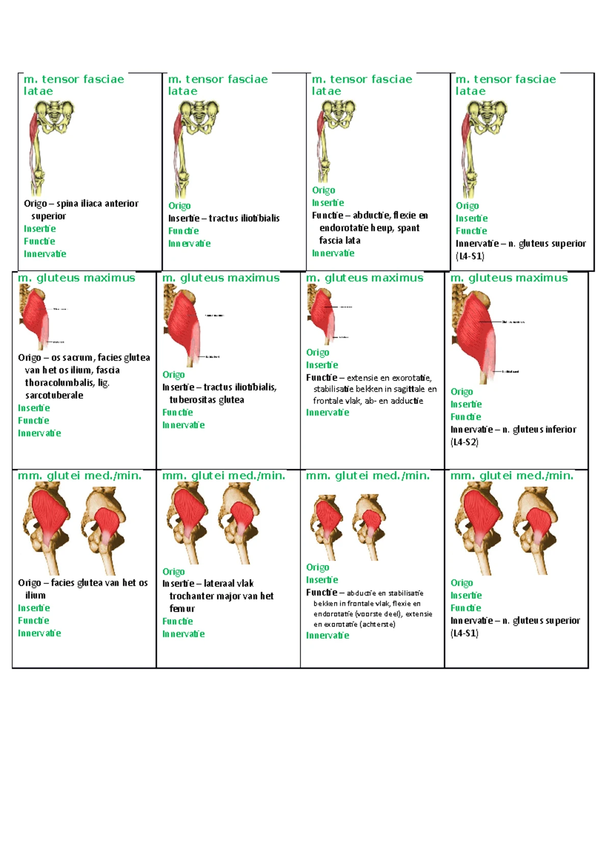 Kenspieren - Spierkracht Testen voor Fysiotherapie (Cursuscode ...