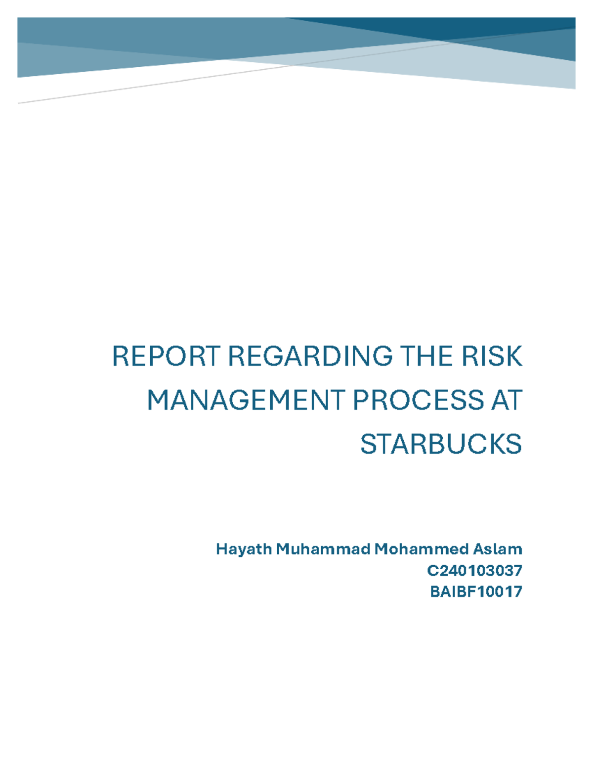 Baibf 10017-C240103037 - REPORT REGARDING THE RISK MANAGEMENT PROCESS ...