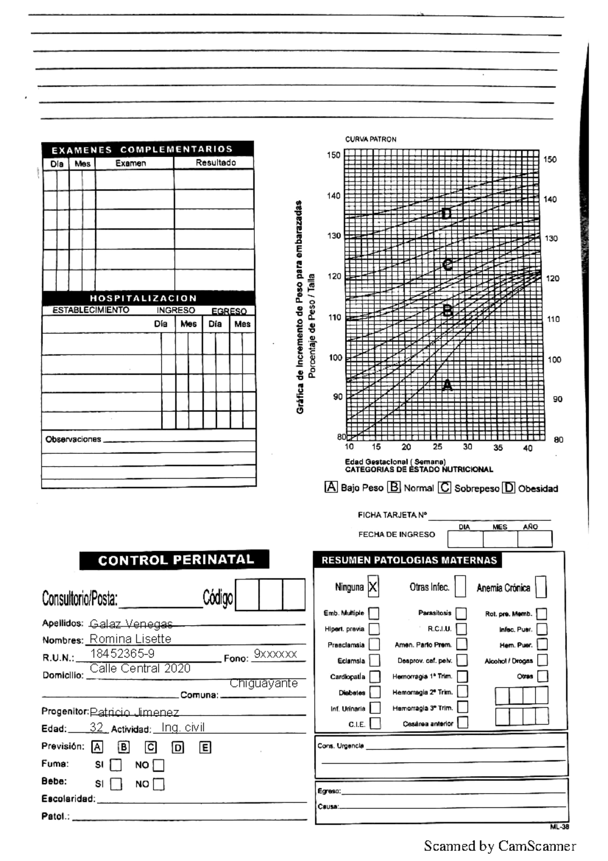 Ficha Perinatal APS - Documento de ginecologia y sistema publico. -  Obstetricia y Ginecologia - Studocu