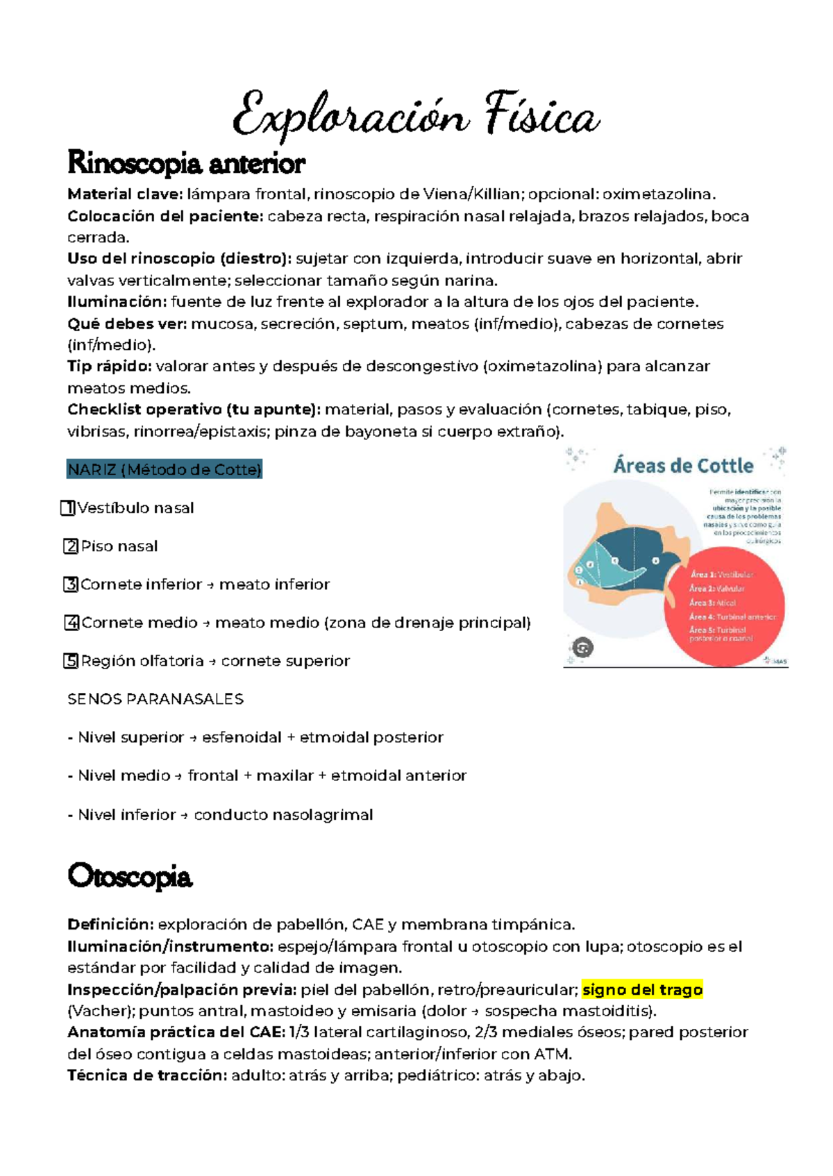 Rinoscopia Anterior y Otoscopia: Guía Práctica para Otorrino - Studocu