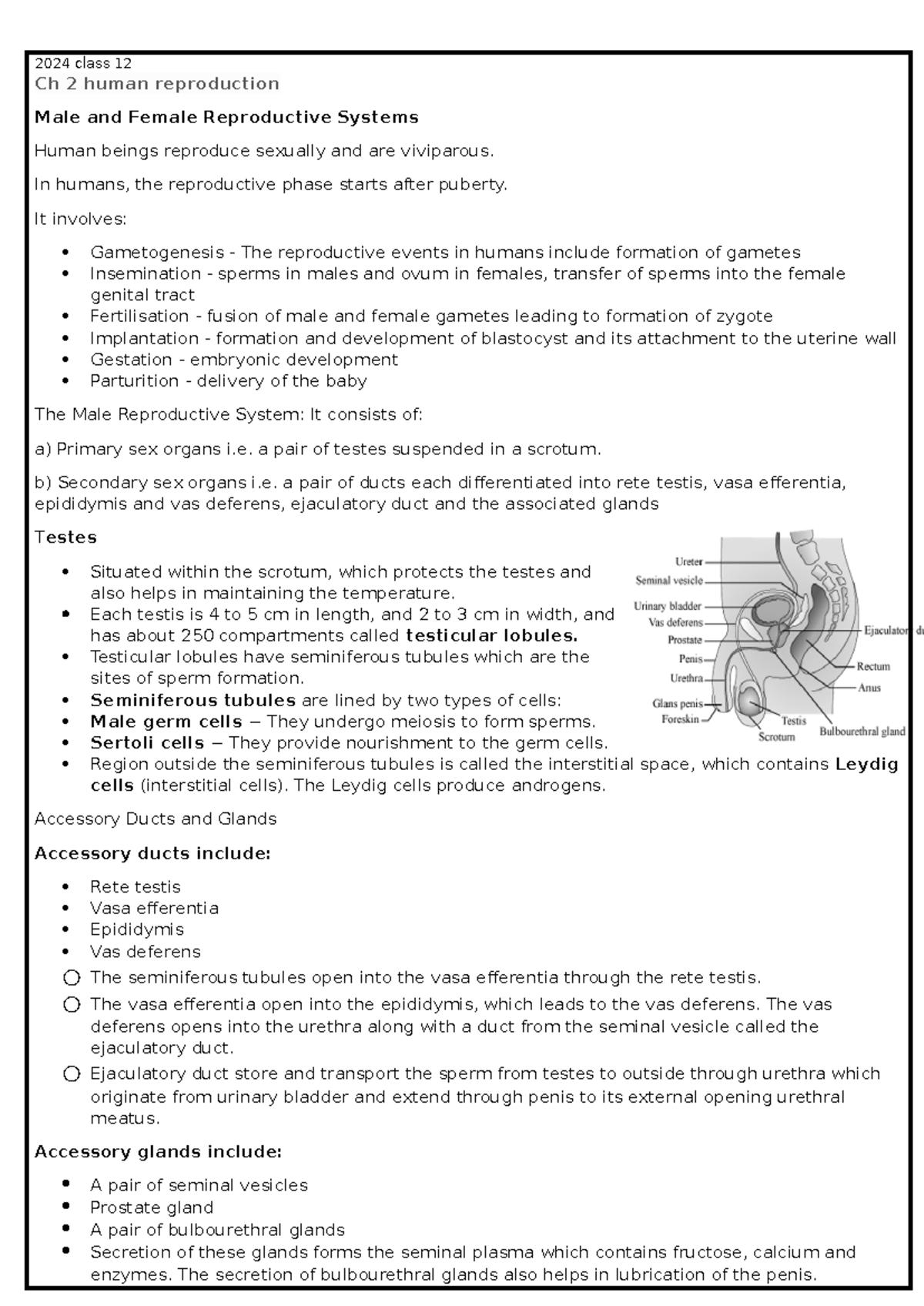 Biology Notes Class 12: Chapter 2 - Human Reproduction Overview - Studocu