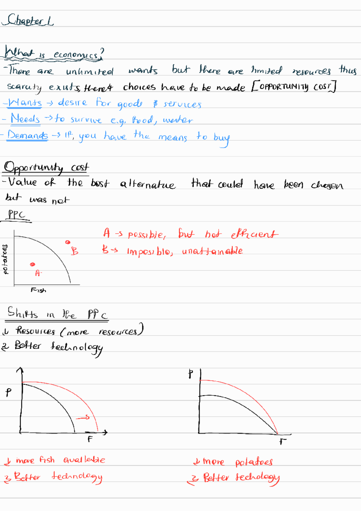 C1 Chapter: Understanding Economics - Scarcity, Choices, and Resources ...