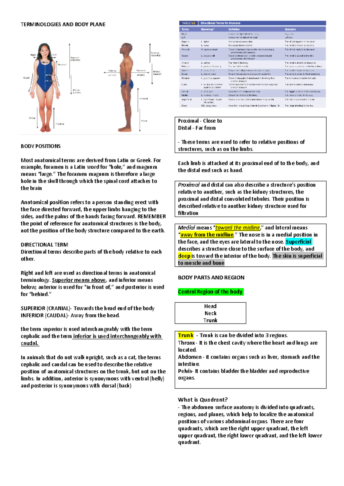 Anatomical Terminology and Body Plan Overview - Anaphy Class Notes ...