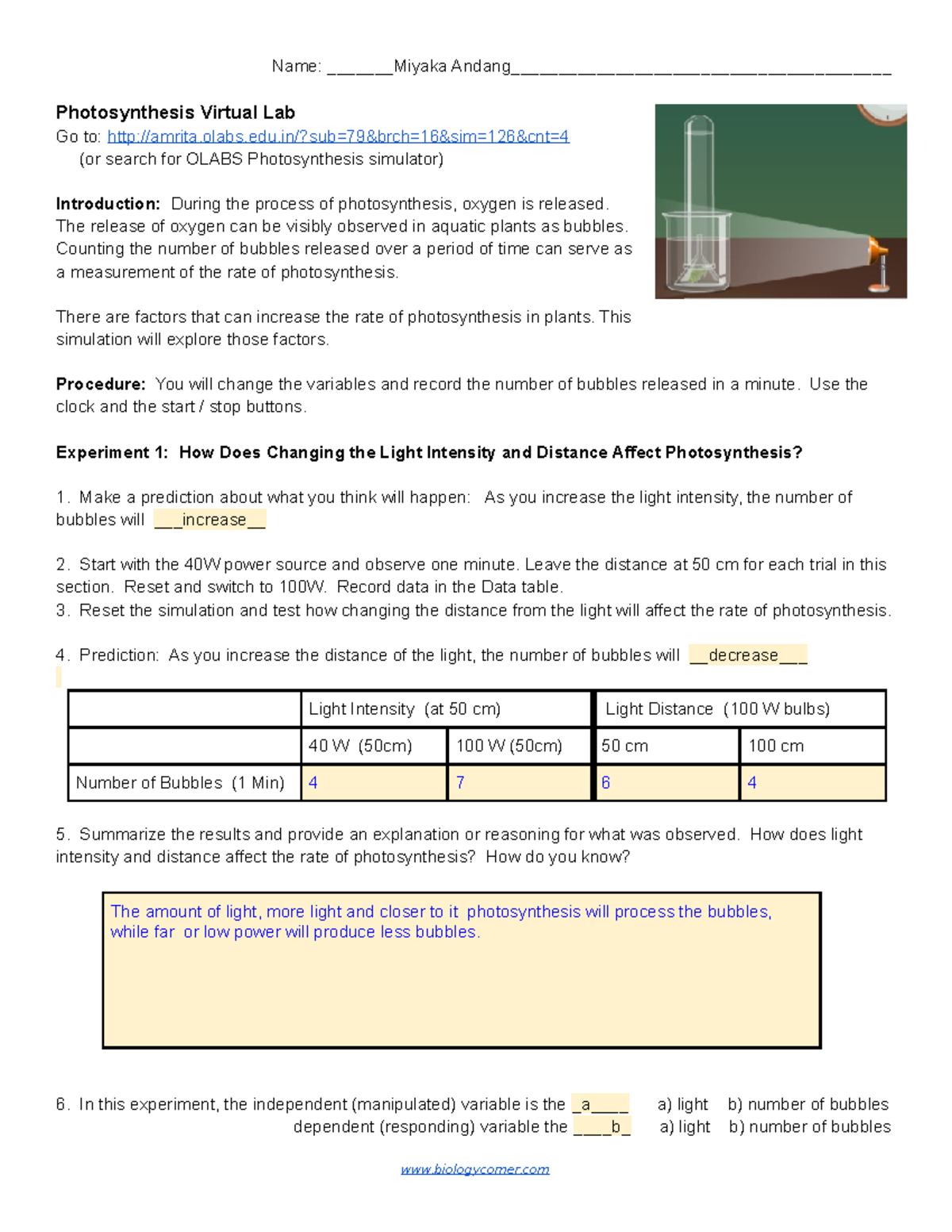 Photosynthesis Virtual Lab: Exploring Light's Impact on Rates