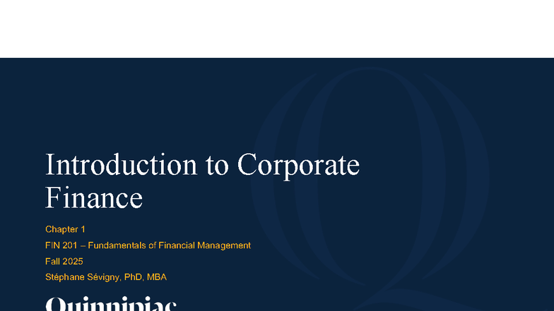 FIN 201: Introduction to Corporate Finance - Chapter 1 Summary - Studocu