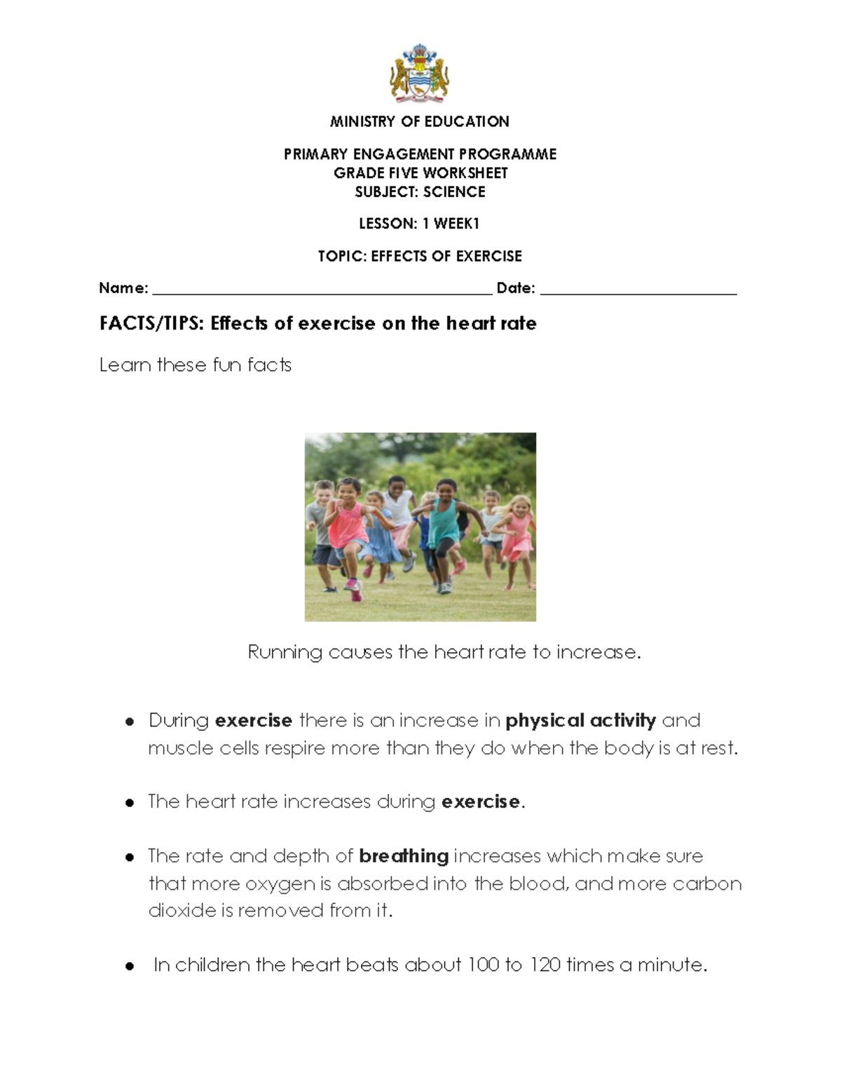 Grade 5 Science Term 1 Worksheets: Weeks 1-4 Overview - Studocu