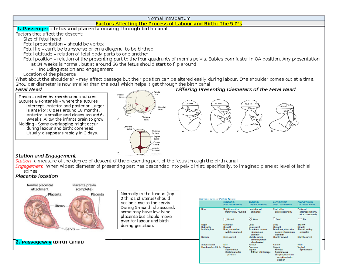 Normal Intrapartum Factors and Mechanisms (Mod 3 Study Guide) - Studocu