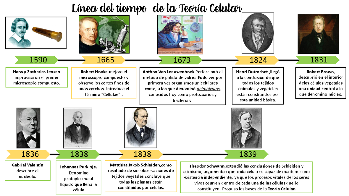 Chronological Timeline and Comparison Table of Cell Types - Document Preview