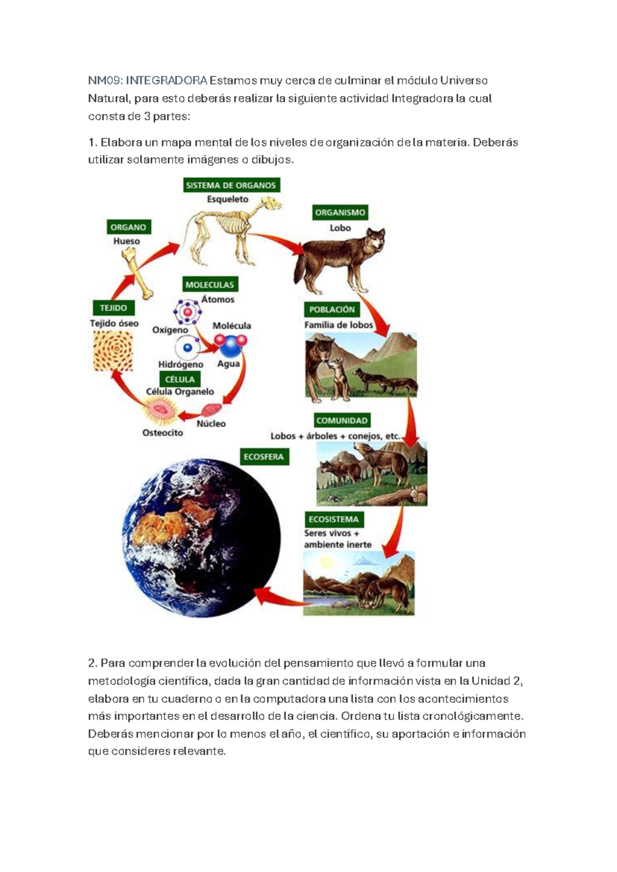 NM09: Actividad Integradora del Módulo Universo Natural - Studocu