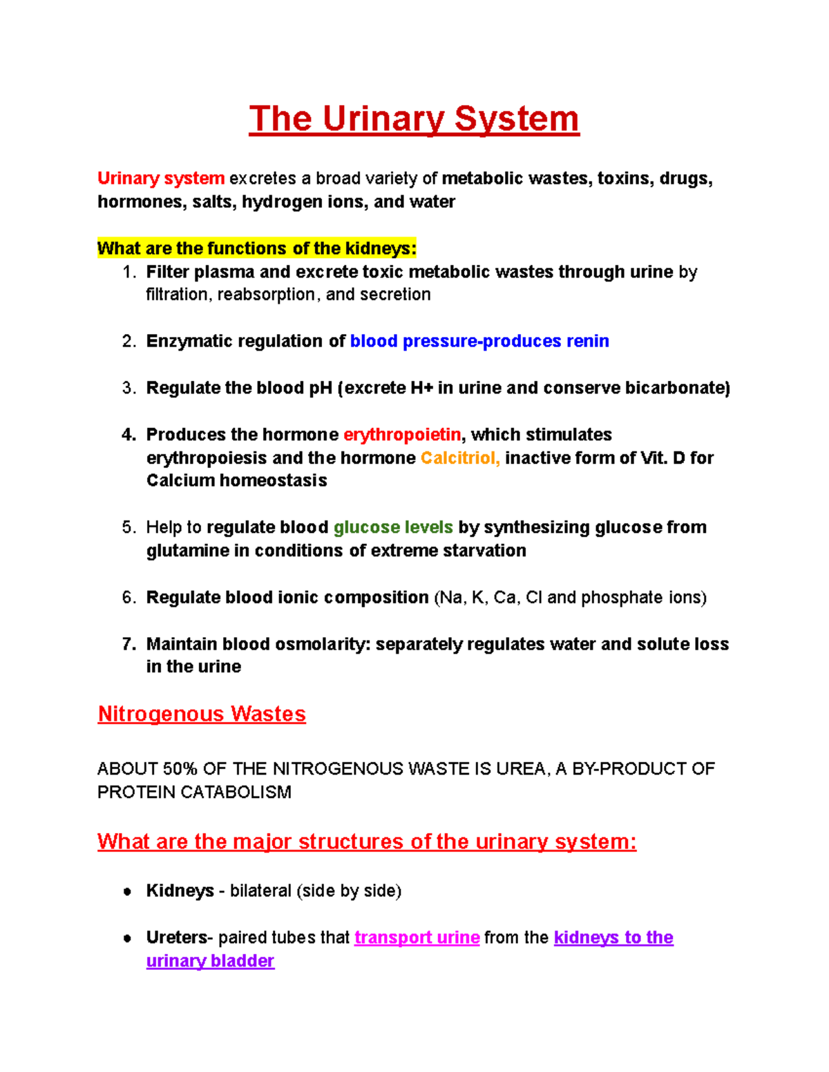 Urinary System Overview and Functions - Studocu