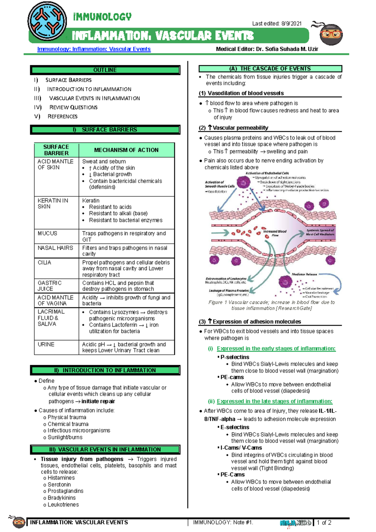 278 Immunology Lecture Notes: Inflammation and Vascular Events Part 1 ...