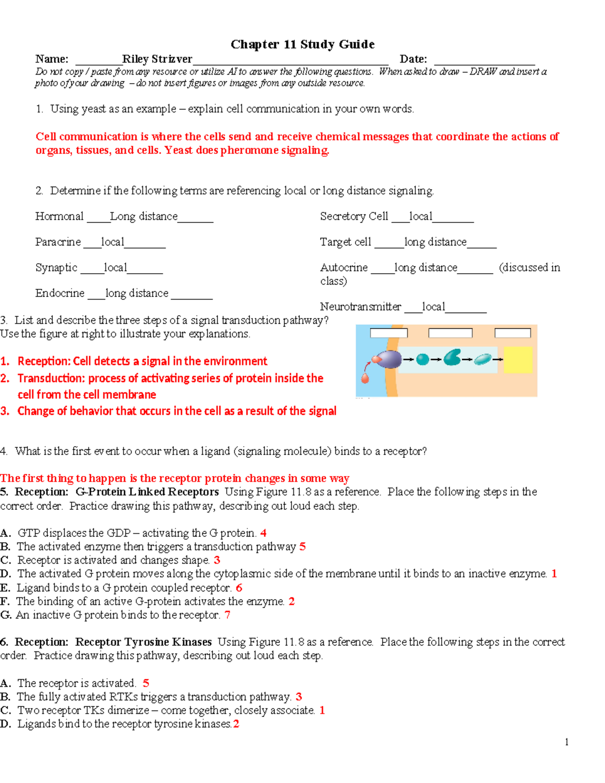 Chapter 11 Cell Signaling: Comprehensive Study Guide for Exams - Studocu