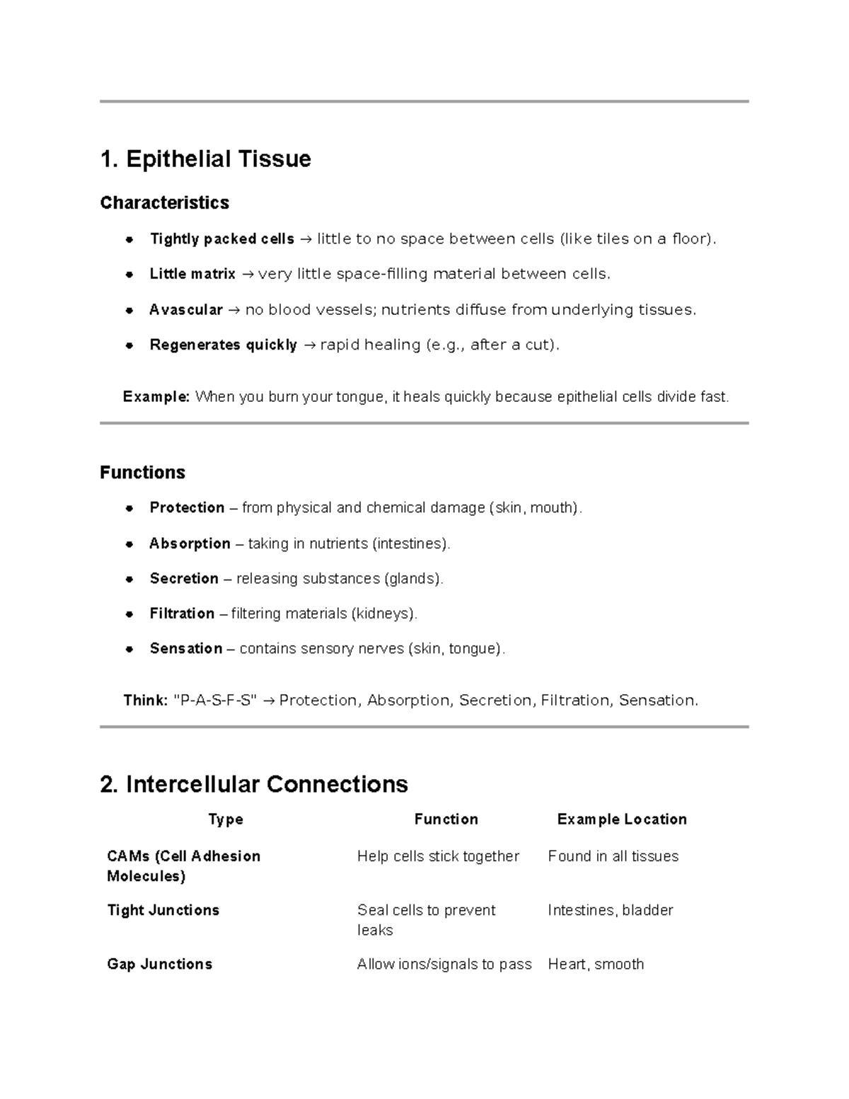 Epithelial & Connective Tissues: Key Characteristics & Functions ...