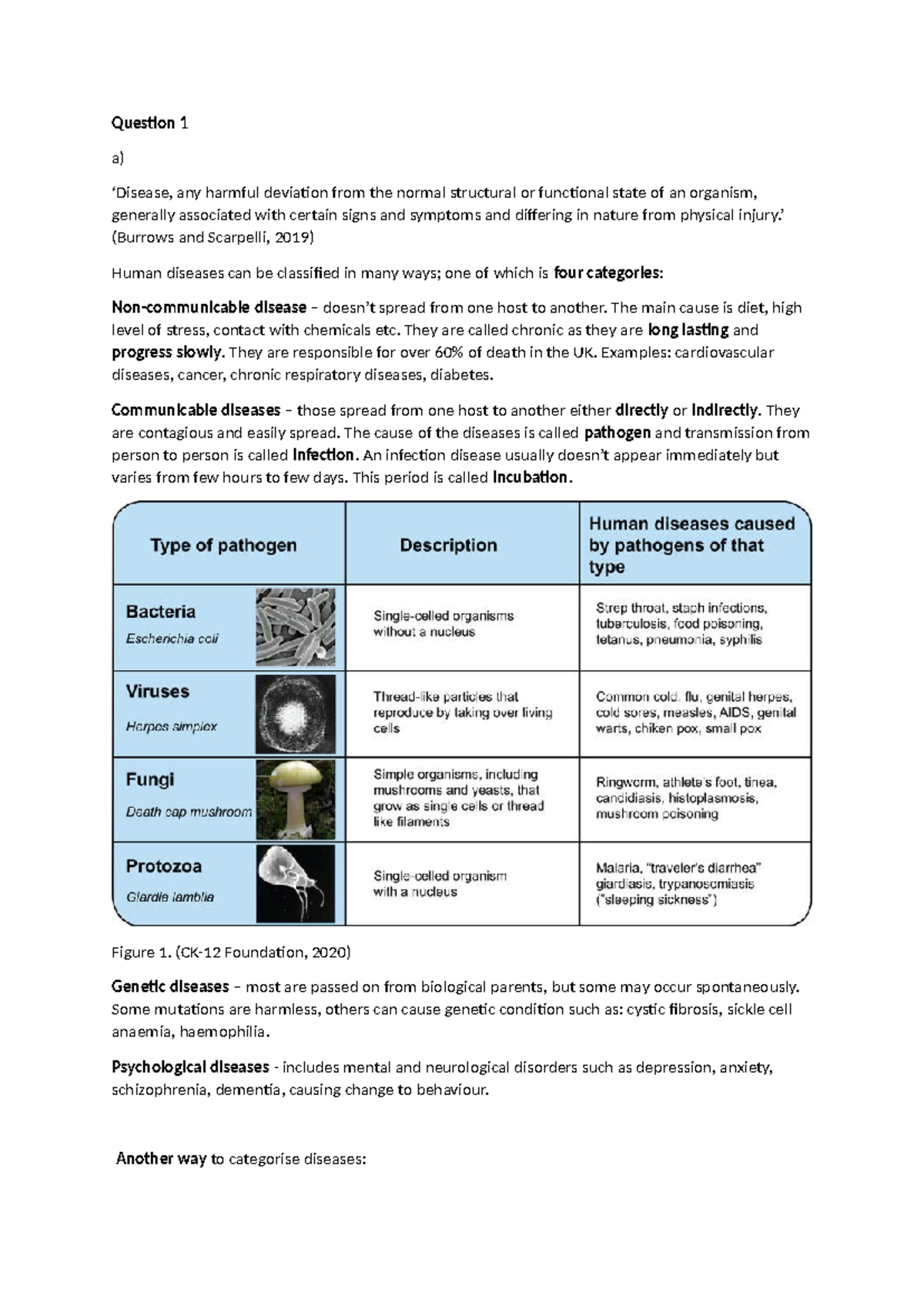 Human Diseases: Classification, Risk Factors, and Measles Overview ...