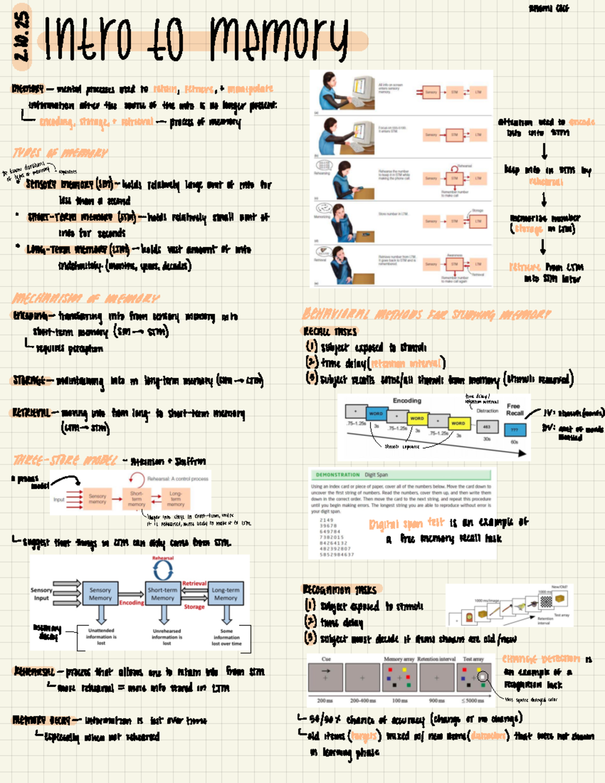 Memory Processes: Sensory, Short-Term, and Long-Term Memory Overview ...