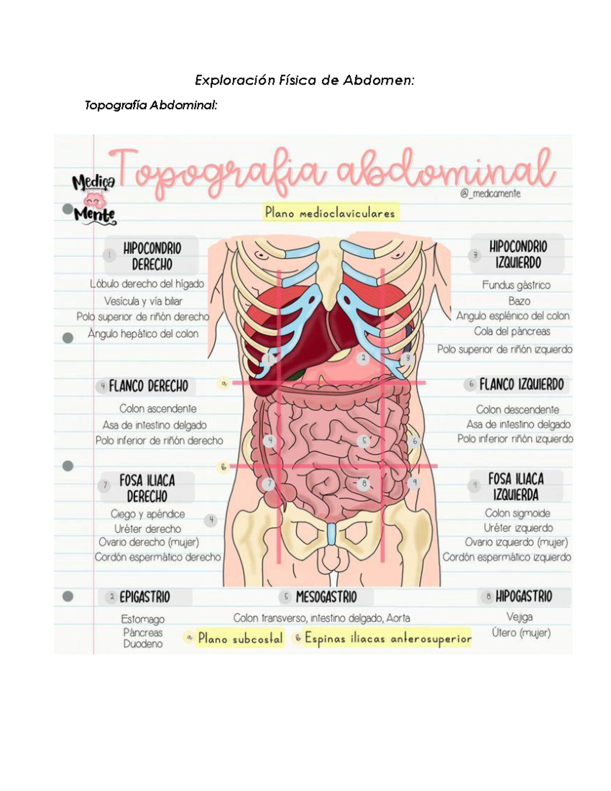 Exploración Física del Abdomen: Guía Completa y Detallada - Studocu