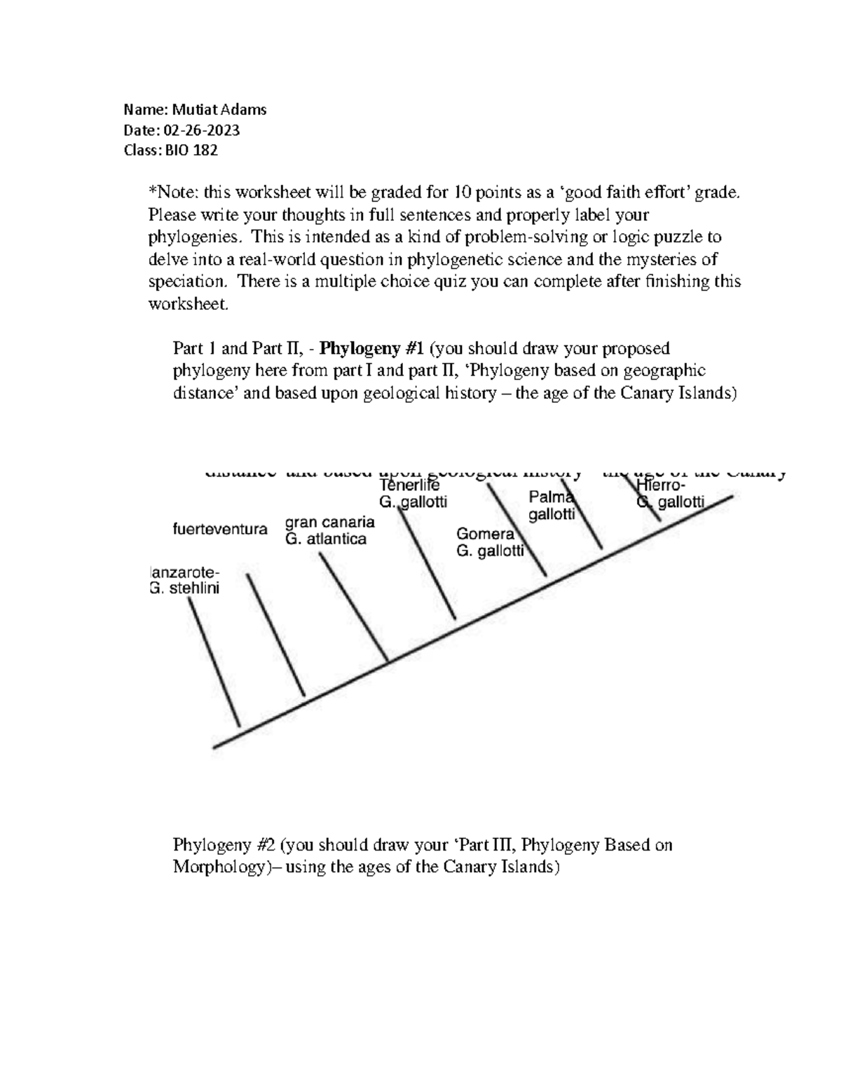 BIO 182 Island Biogeography Worksheet - Phylogenetic Analysis - Studocu