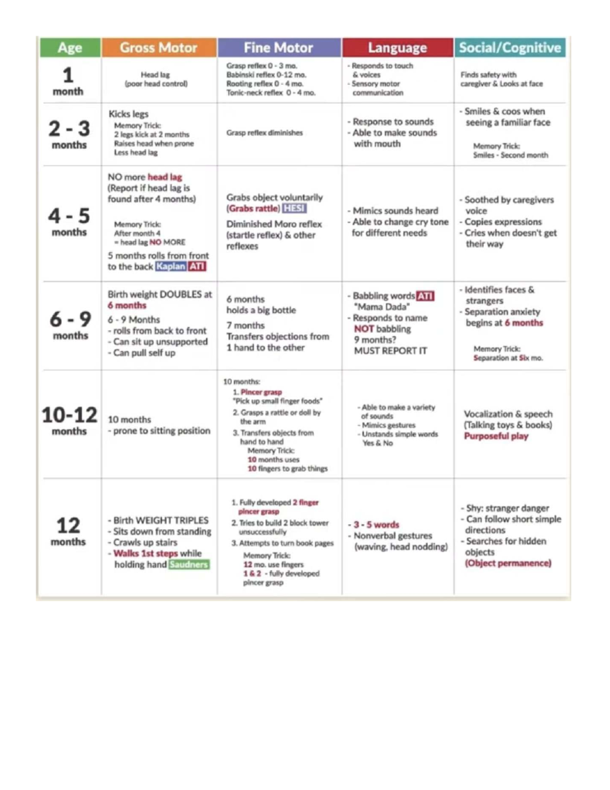 Pediatric Milestones: Developmental Progression from Birth to 4 Years ...