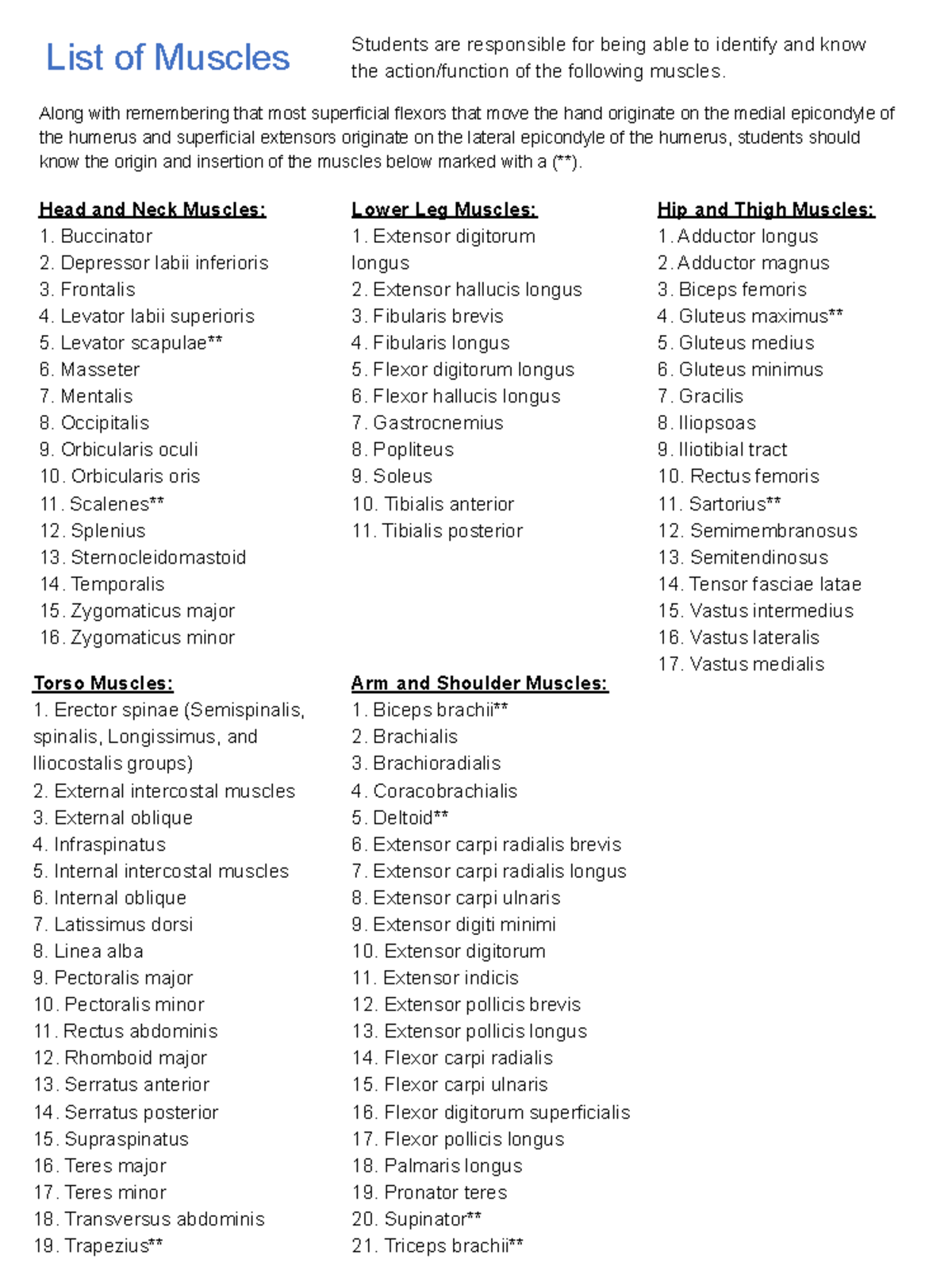 Muscle Identification Study Guide for BIO 101 - Studocu