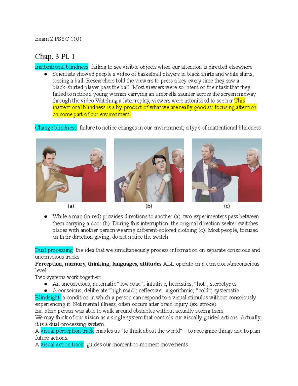 Types Of Inattentional Blindness