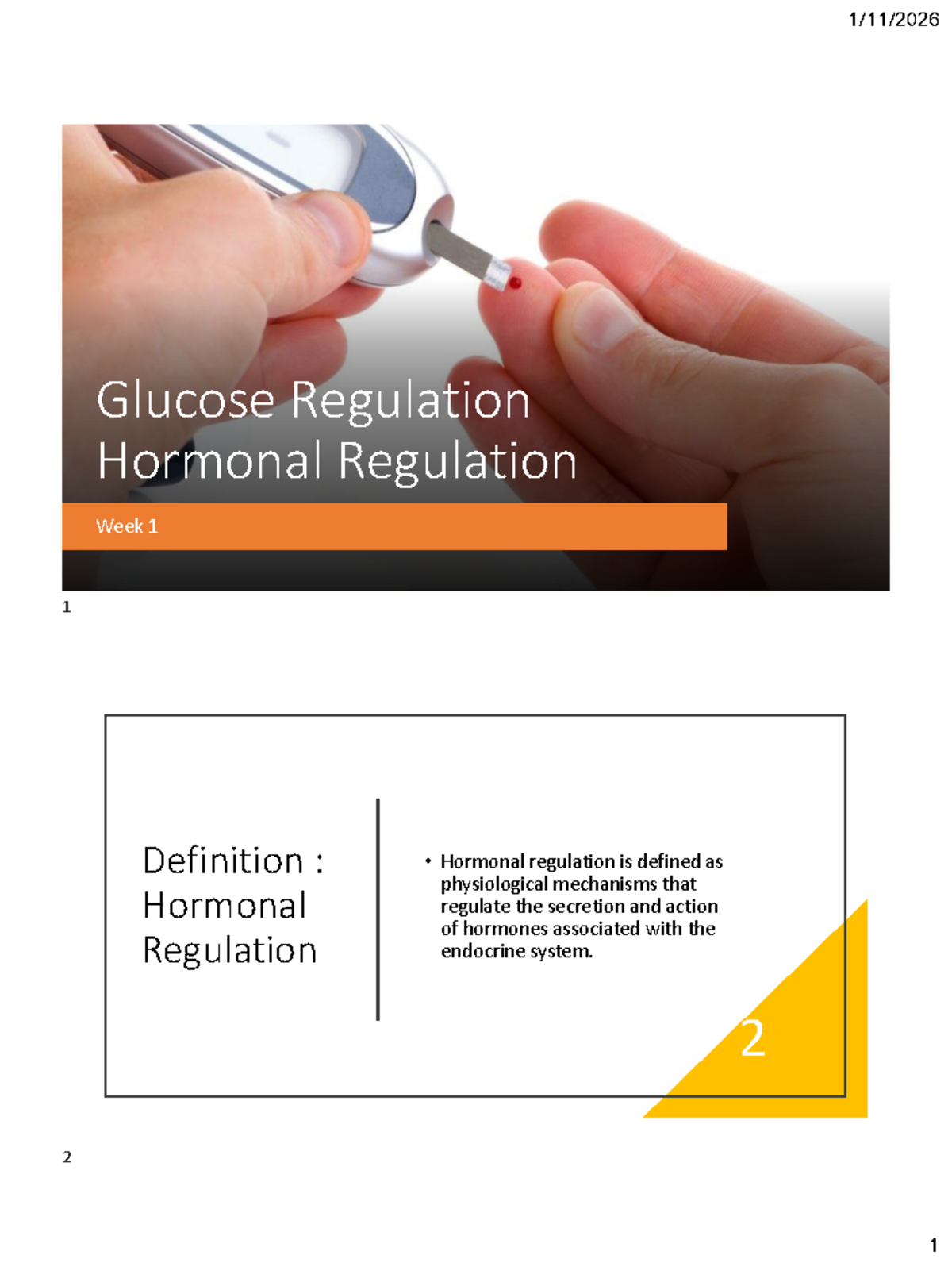 Glucose Regulation and Hormonal Mechanisms - Week 1 Overview - Studocu
