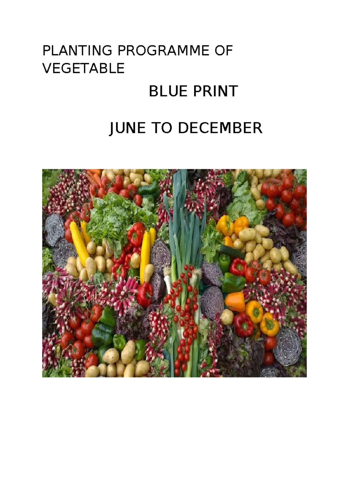 Planting Programme OF Vegetable - PLANTING PROGRAMME OF VEGETABLE BLUE ...