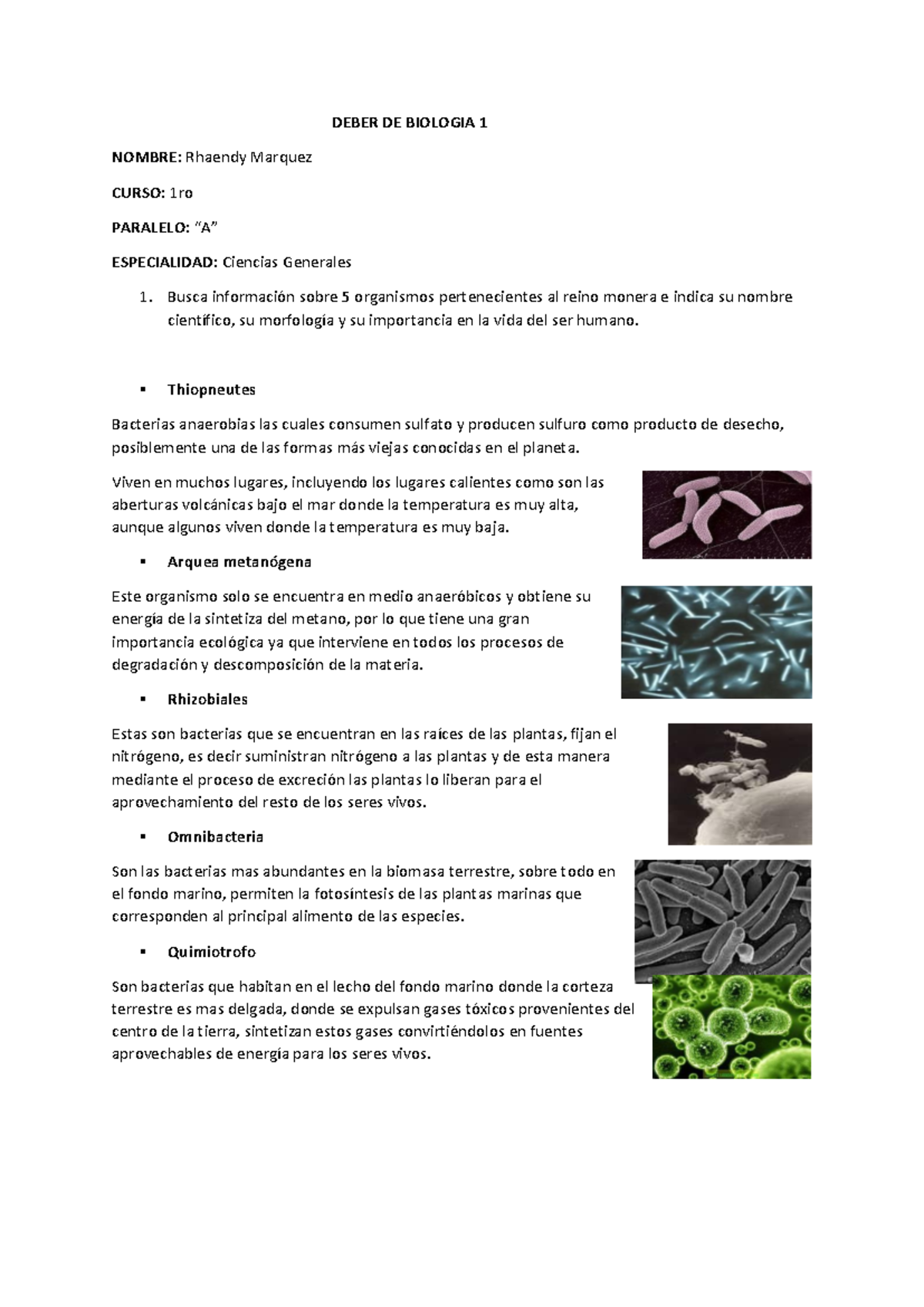 Biología 1 - Investigación sobre Organismos del Reino Monera - Studocu