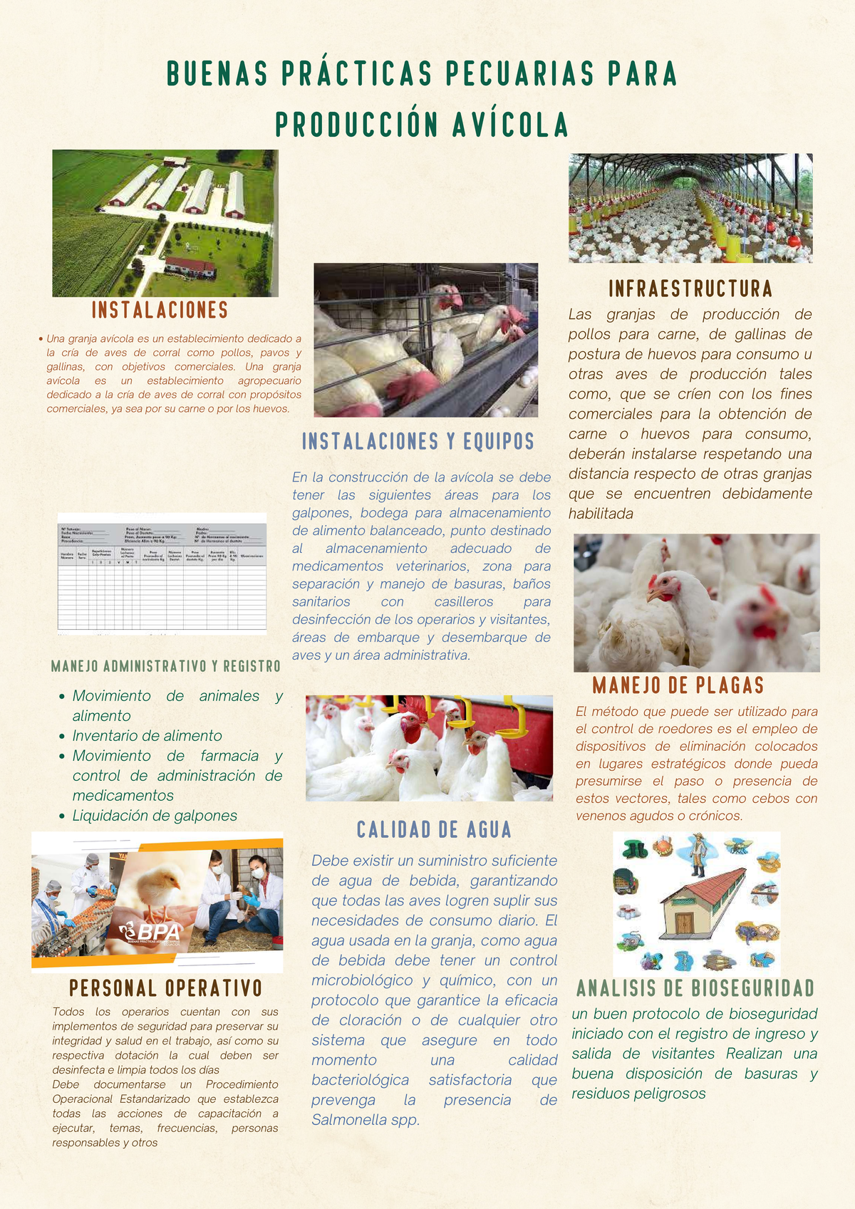 Buenas practicas para produccion avicola compressed - B U E N A S P R Á ...