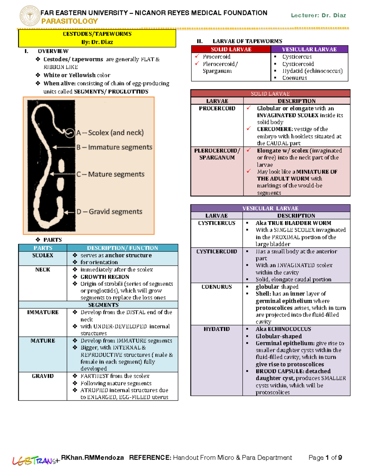 List Of Cestodes