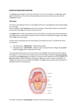 Digestive System - Lab Report - DISCUSSION & CONCLUSION LABORATORY ...