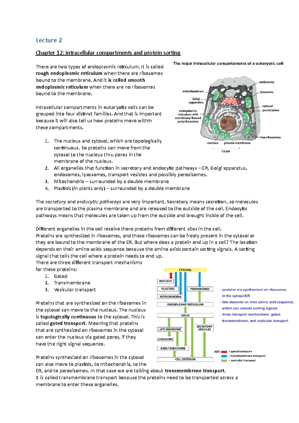 Mbocii Lecture 2: Chapter 12 - Intracellular Compartments & Protein ...