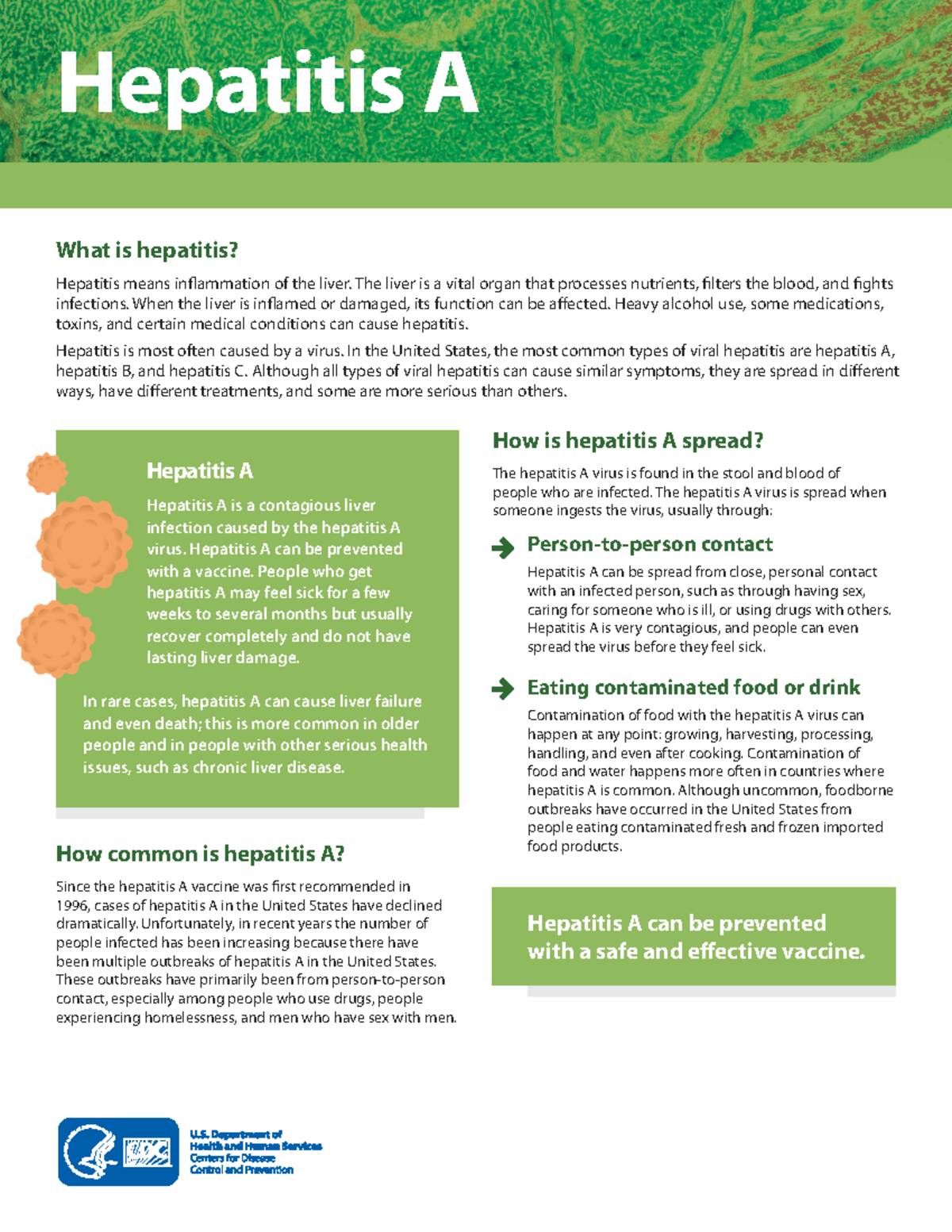 Hep A Info Sheet: Understanding Hepatitis A and Its Prevention - Studocu