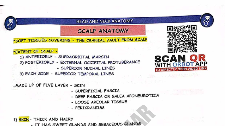 Head and Neck Anatomy: Comprehensive Summary Notes (MBBS) - Studocu
