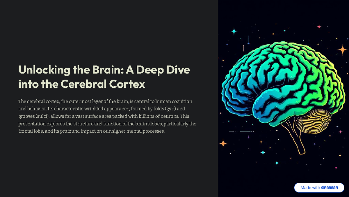 Unit 2 PPT - Neuropsychology: Exploring the Cerebral Cortex Functions ...